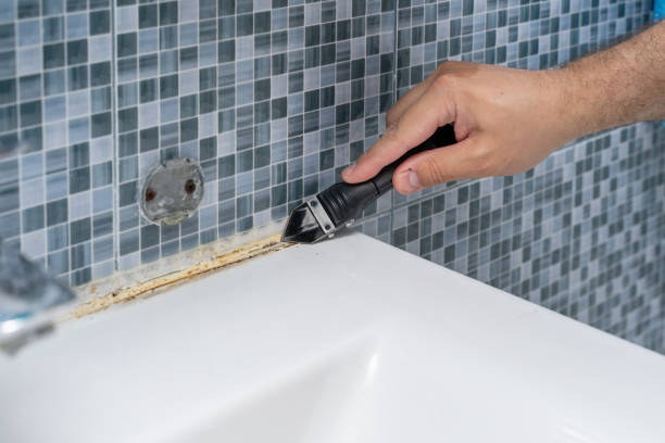 Best Mold Remediation for Specific Building Types in Mpbell, CA
